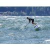 ARMSTRONG FOIL MAST PERFORMANCE 795 V